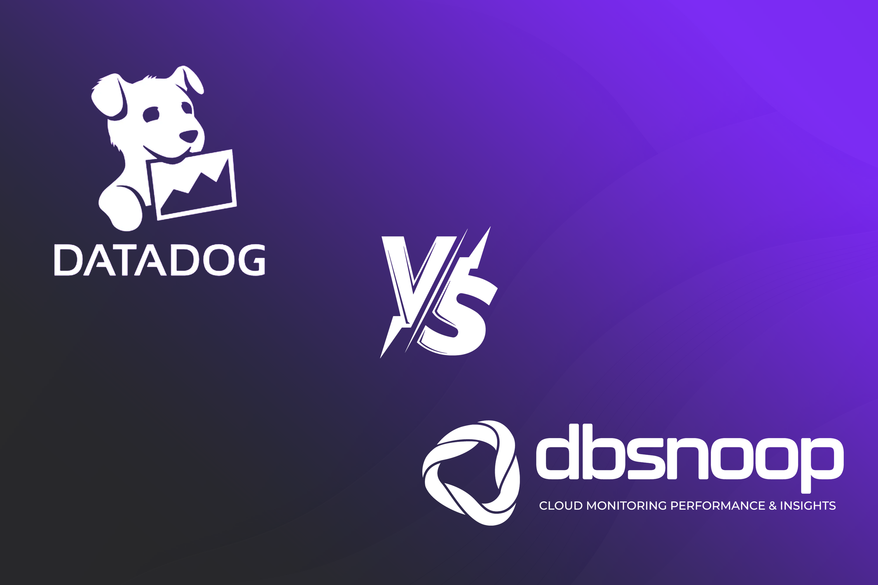 Honest comparison between datadog and dbsnoop